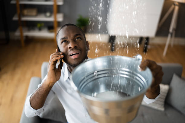 Best Residential water damage restoration  in Hyattsville, MD