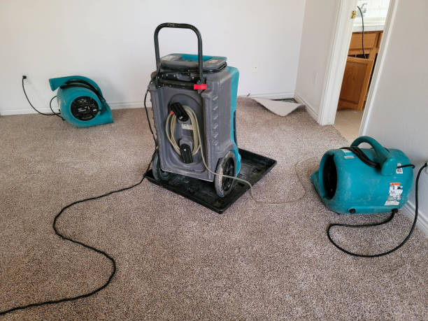 Best Water damage restoration cost  in Hyattsville, MD