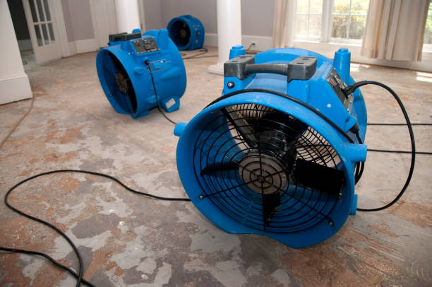Best Flood damage cleanup  in Hyattsville, MD