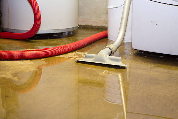  Hyattsville, MD Water damage restoration Pros
