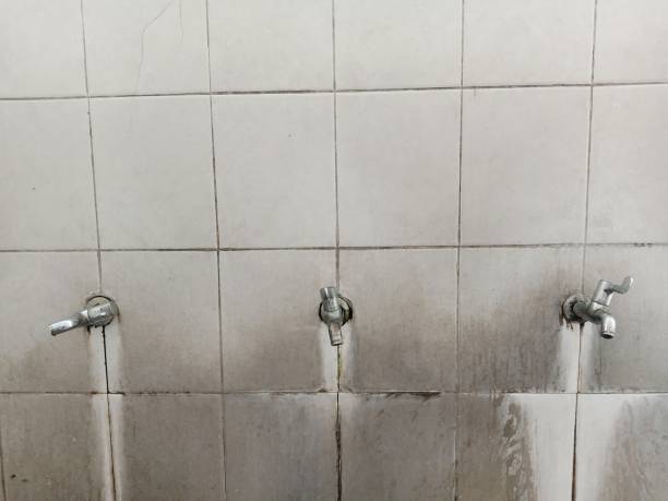 Best 24/7 water damage repair  in Hyattsville, MD
