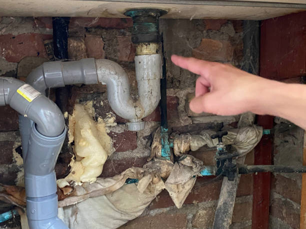 Best Flood restoration services  in Hyattsville, MD