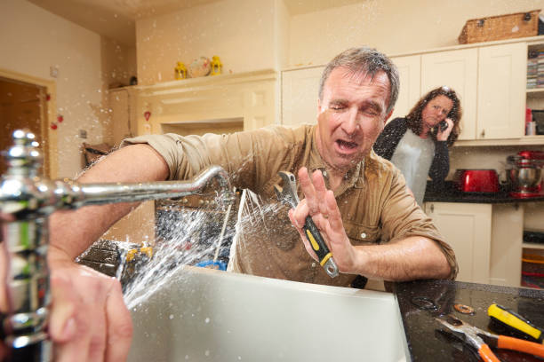 Best Carpet water damage restoration  in Hyattsville, MD